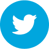 x logo